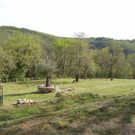 Studio Aux Eyzies Au Coeur De La Vallee De L'Homme Les Eyzies 외부 사진