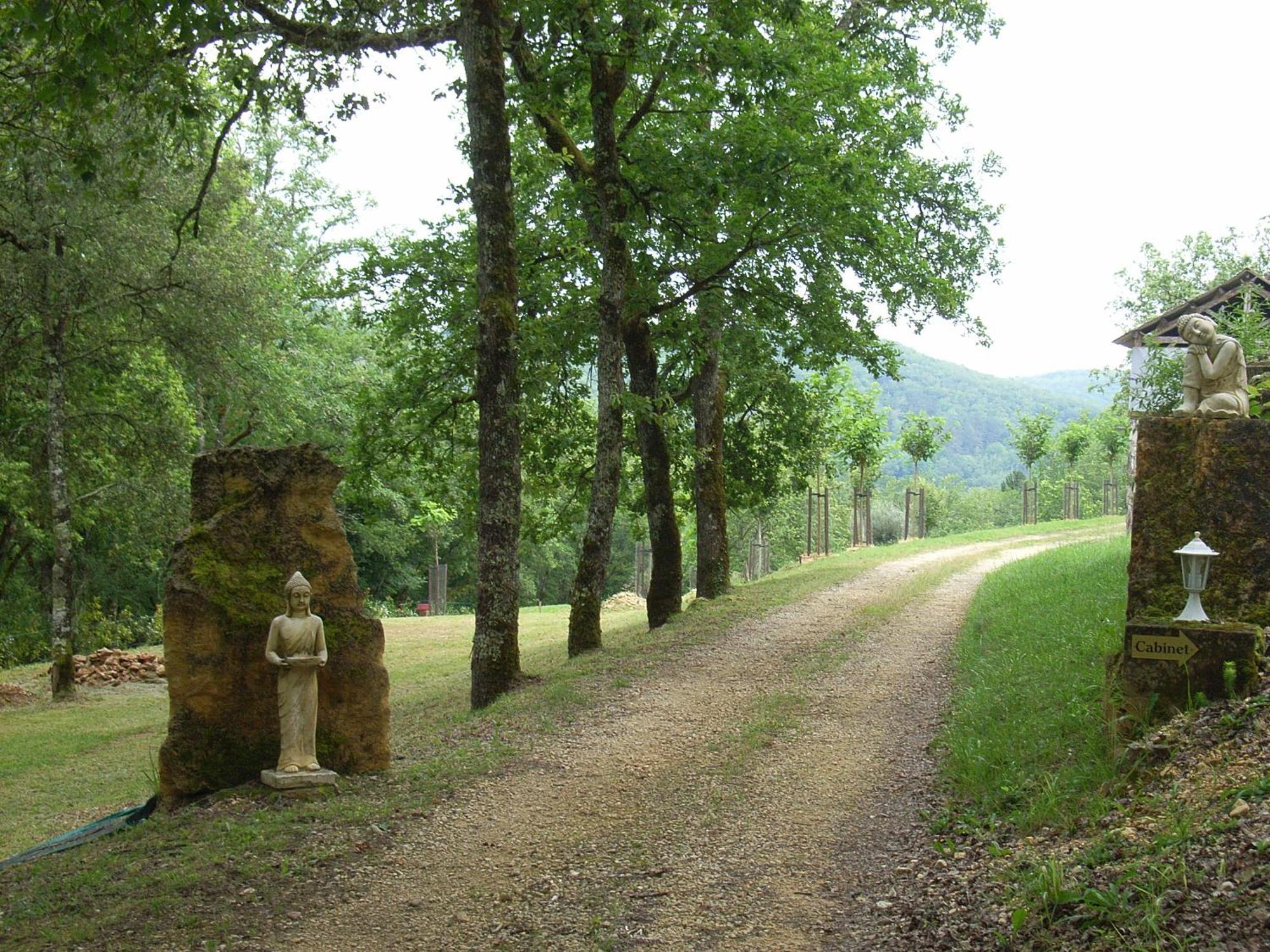 Studio Aux Eyzies Au Coeur De La Vallee De L'Homme Les Eyzies 외부 사진