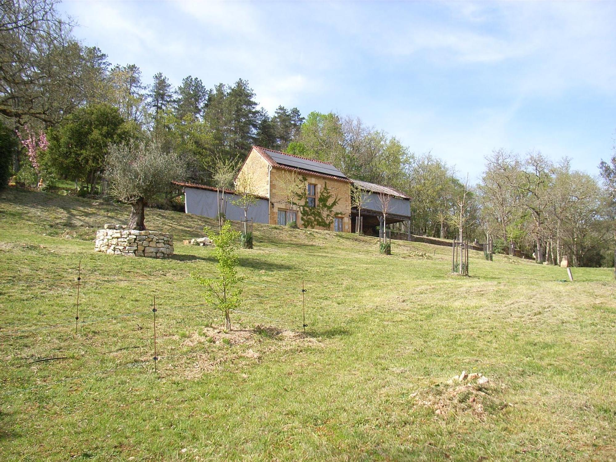 Studio Aux Eyzies Au Coeur De La Vallee De L'Homme Les Eyzies 외부 사진